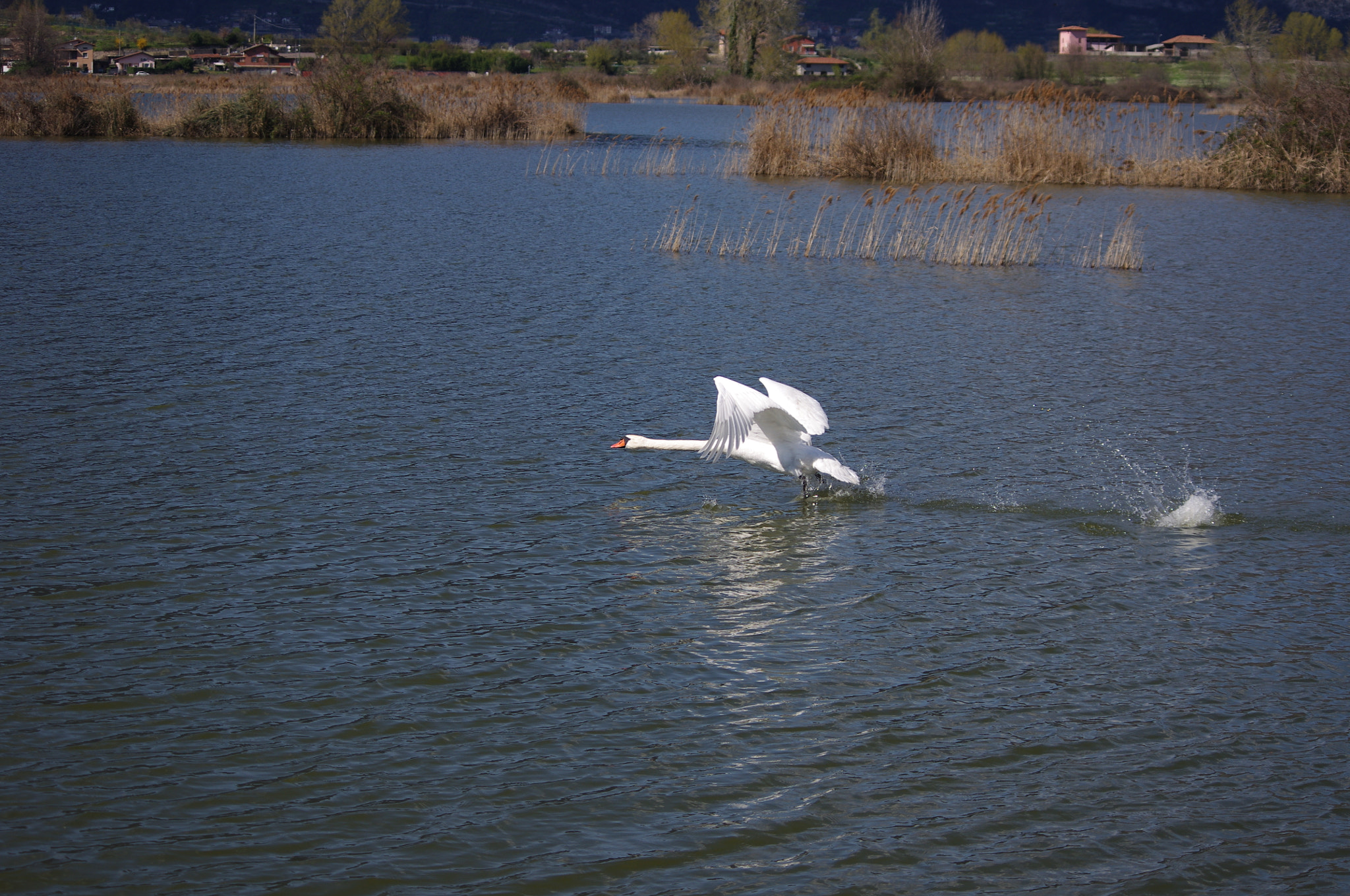 Pentax smc DA 55-300mm F4.0-5.8 ED sample photo. The flight photography