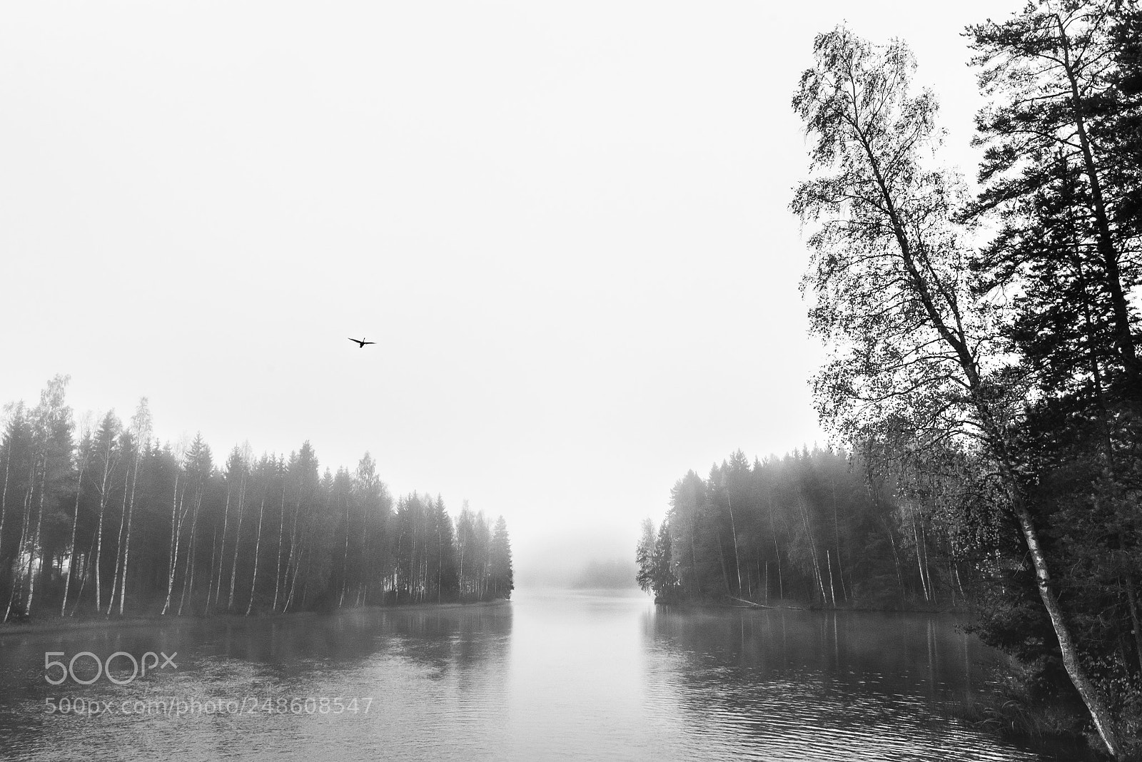 Nikon D810 sample photo. Untitled photography