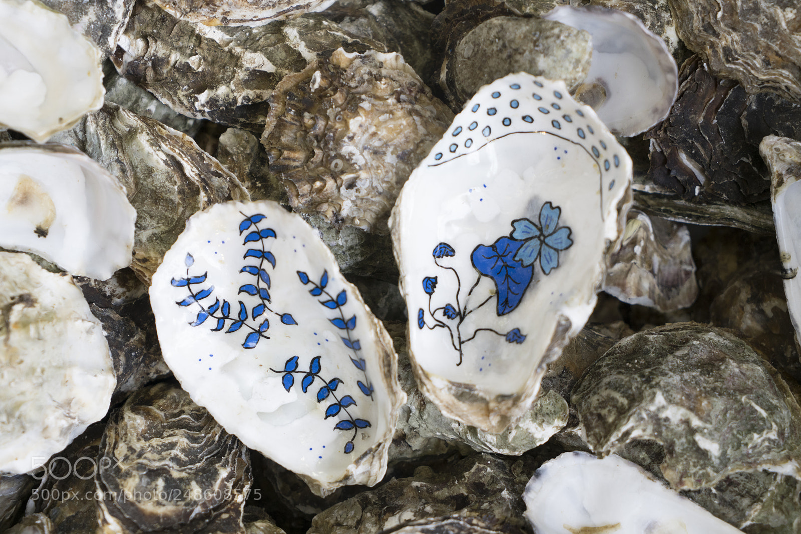 Sony a7R II sample photo. Oyster (very special one) photography