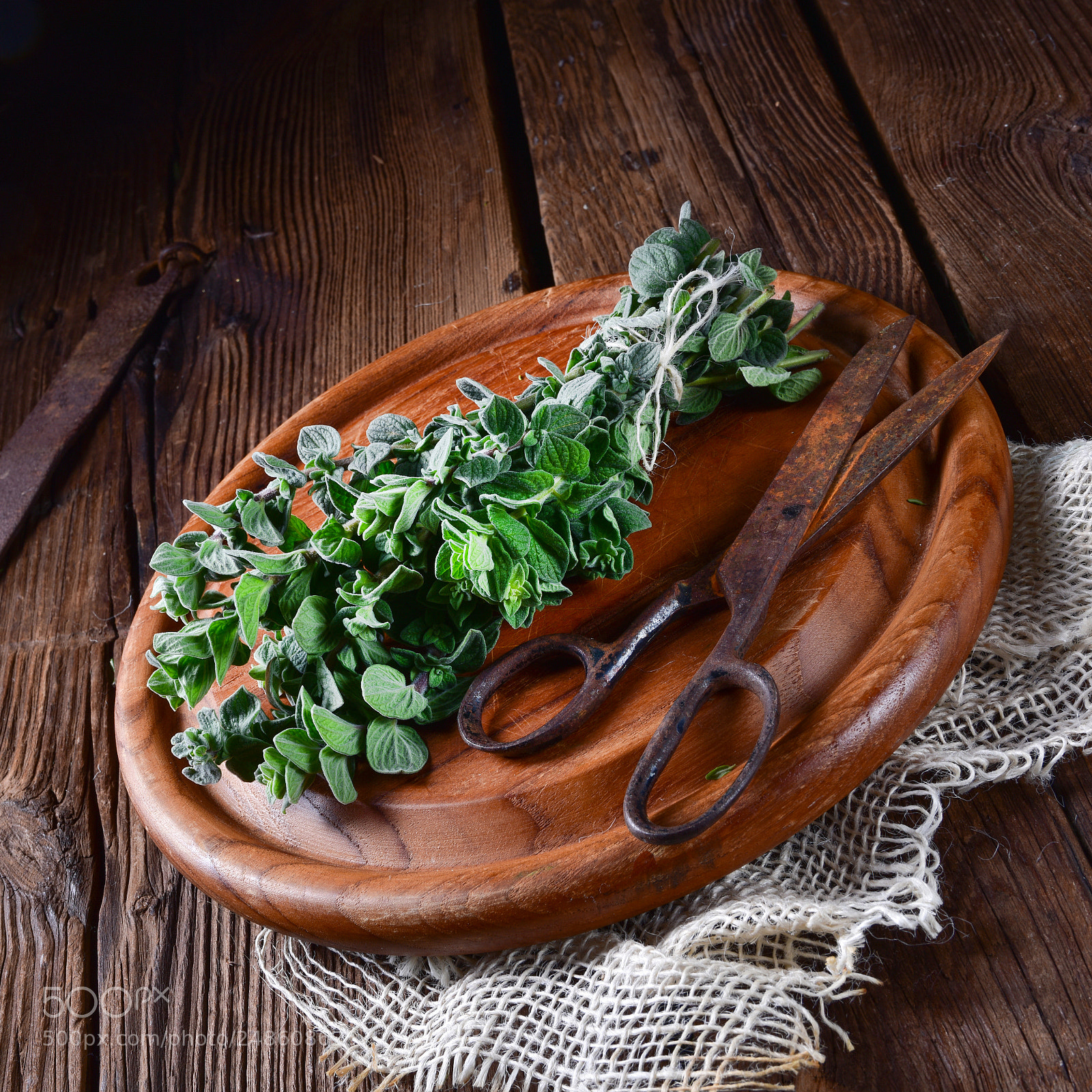 Nikon D810 sample photo. Aromatische oregano (origanum vulgare) photography