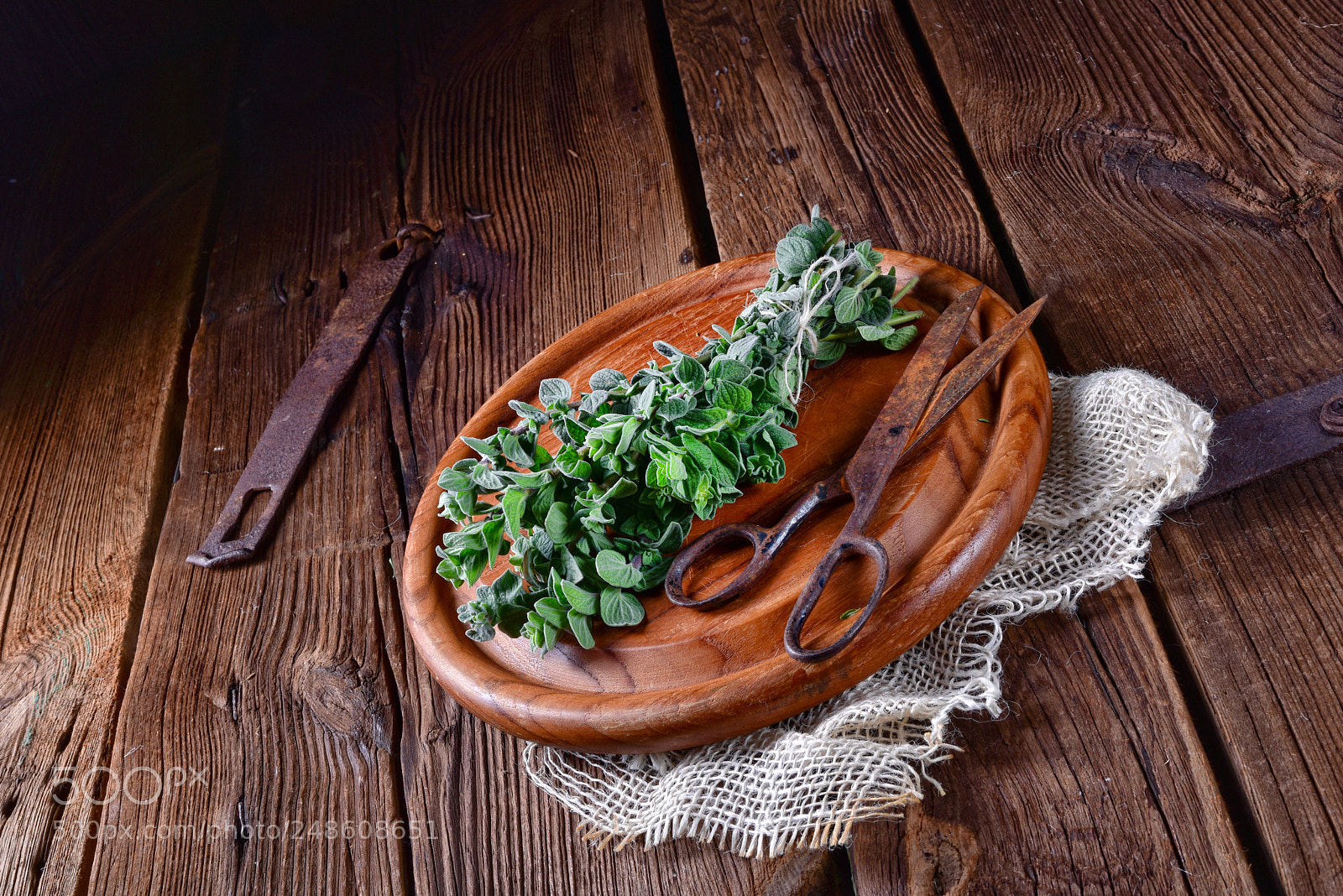 Nikon D810 sample photo. Aromatische oregano (origanum vulgare) photography
