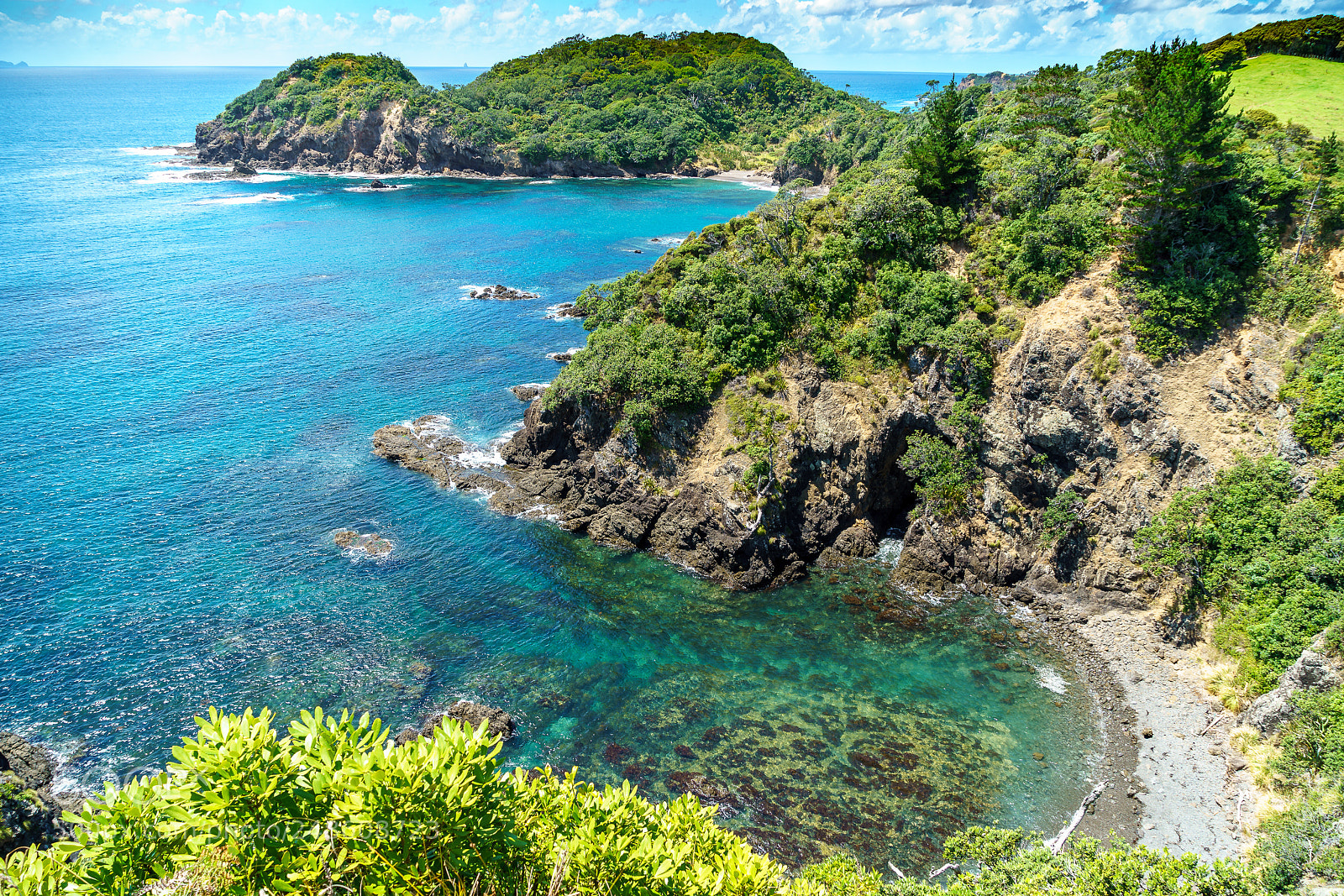 Sony a9 sample photo. Nearby the matapouri bay photography