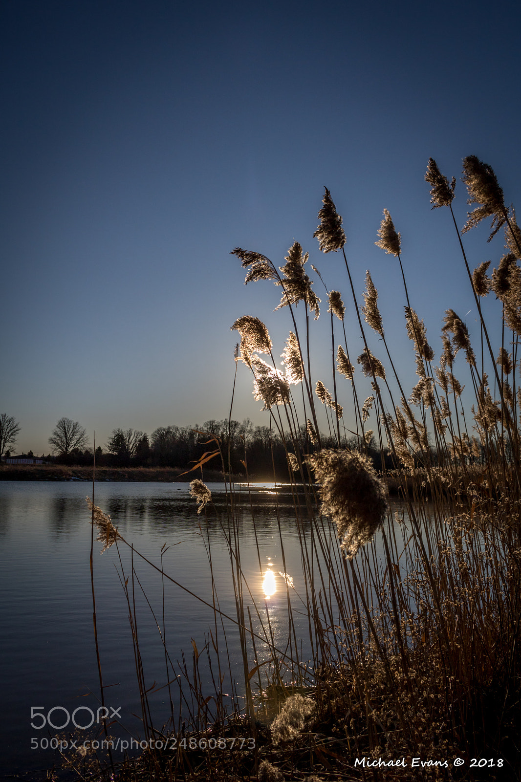Canon EOS 750D (EOS Rebel T6i / EOS Kiss X8i) sample photo. Fading light photography