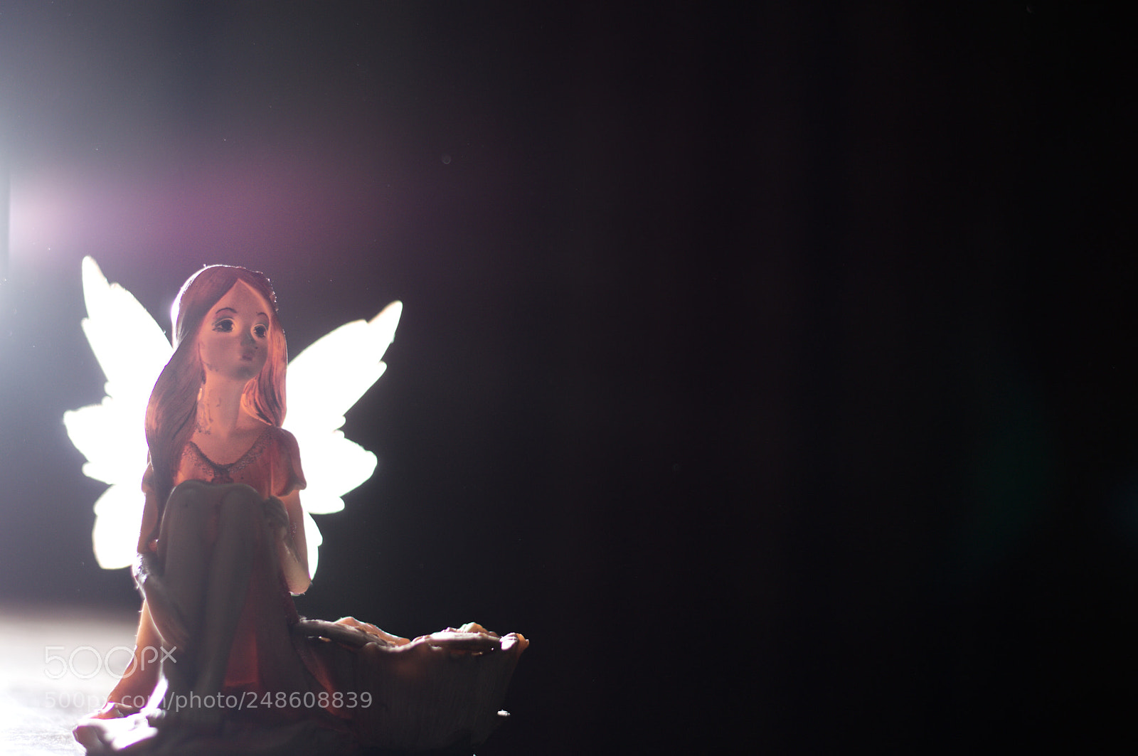 Nikon D3200 sample photo. Happy women's day to photography