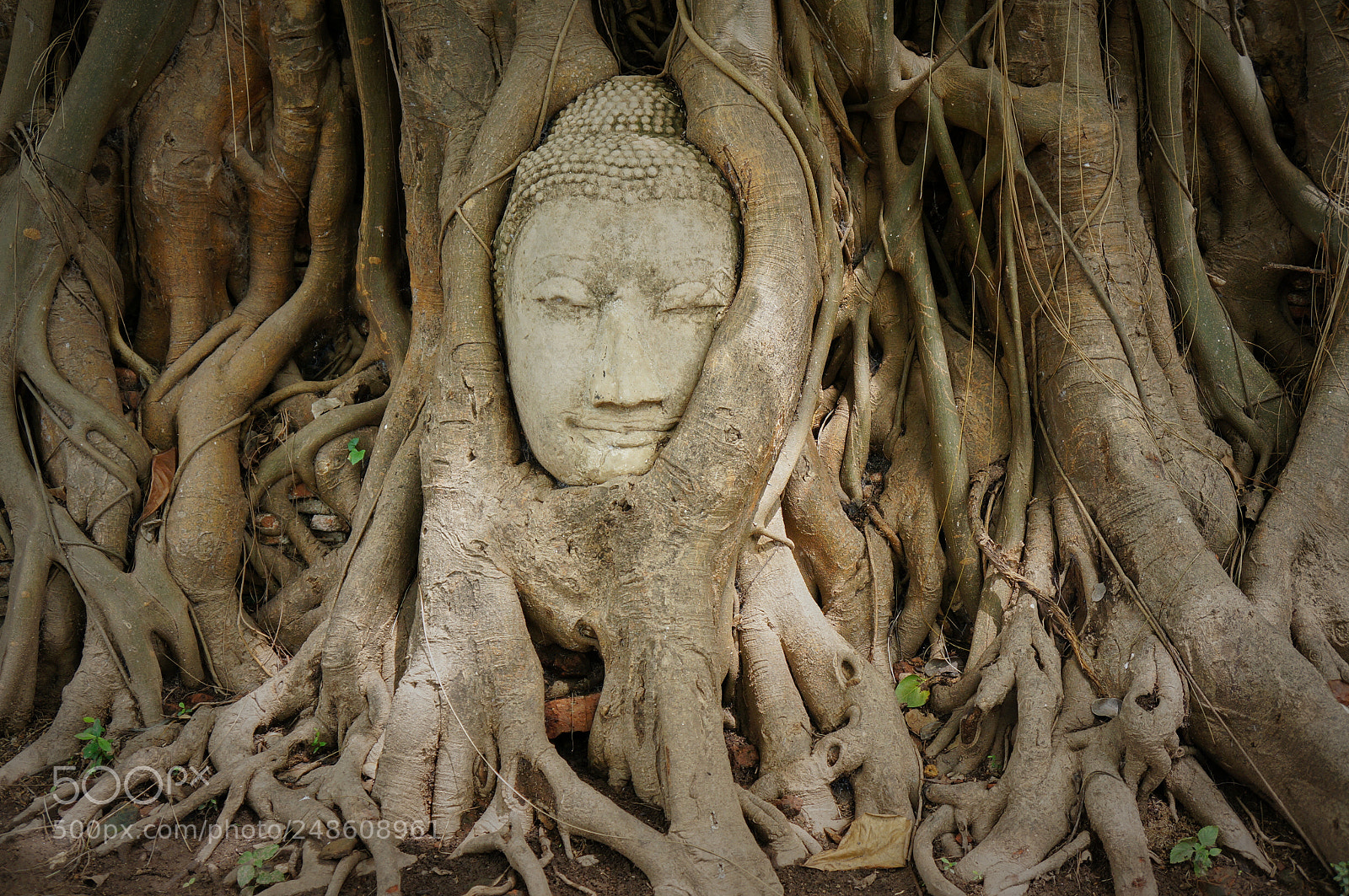 Sony Alpha NEX-5N sample photo. Bangkok, thailand photography
