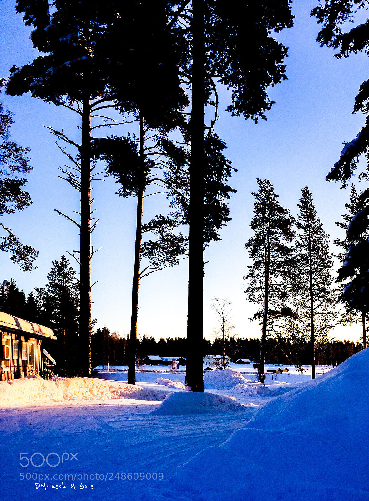 Apple iPhone 6 sample photo. Snowy sweden photography
