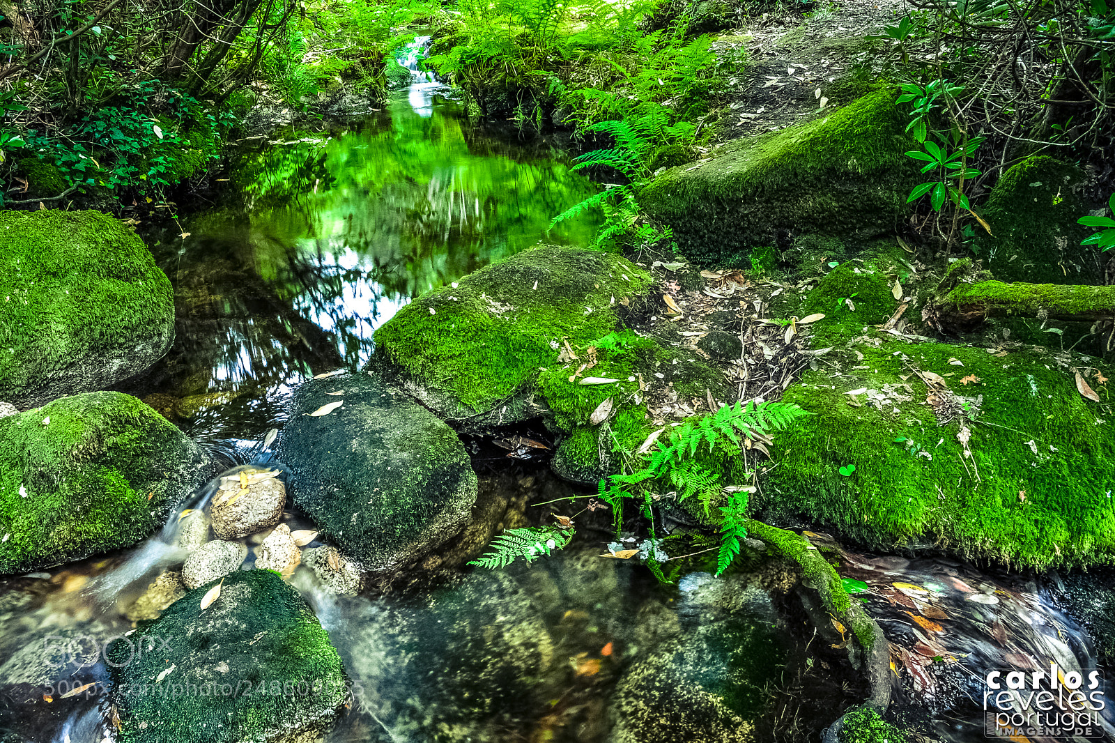 Nikon D5000 sample photo. Caramulo, tondela photography