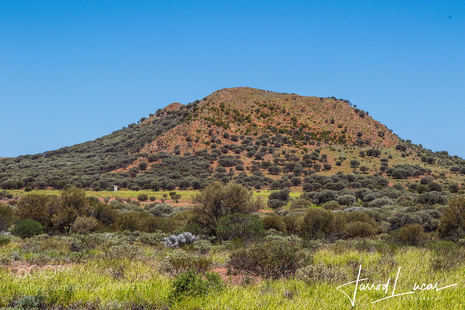 Canon EOS 7D Mark II sample photo. Leonora hill photography