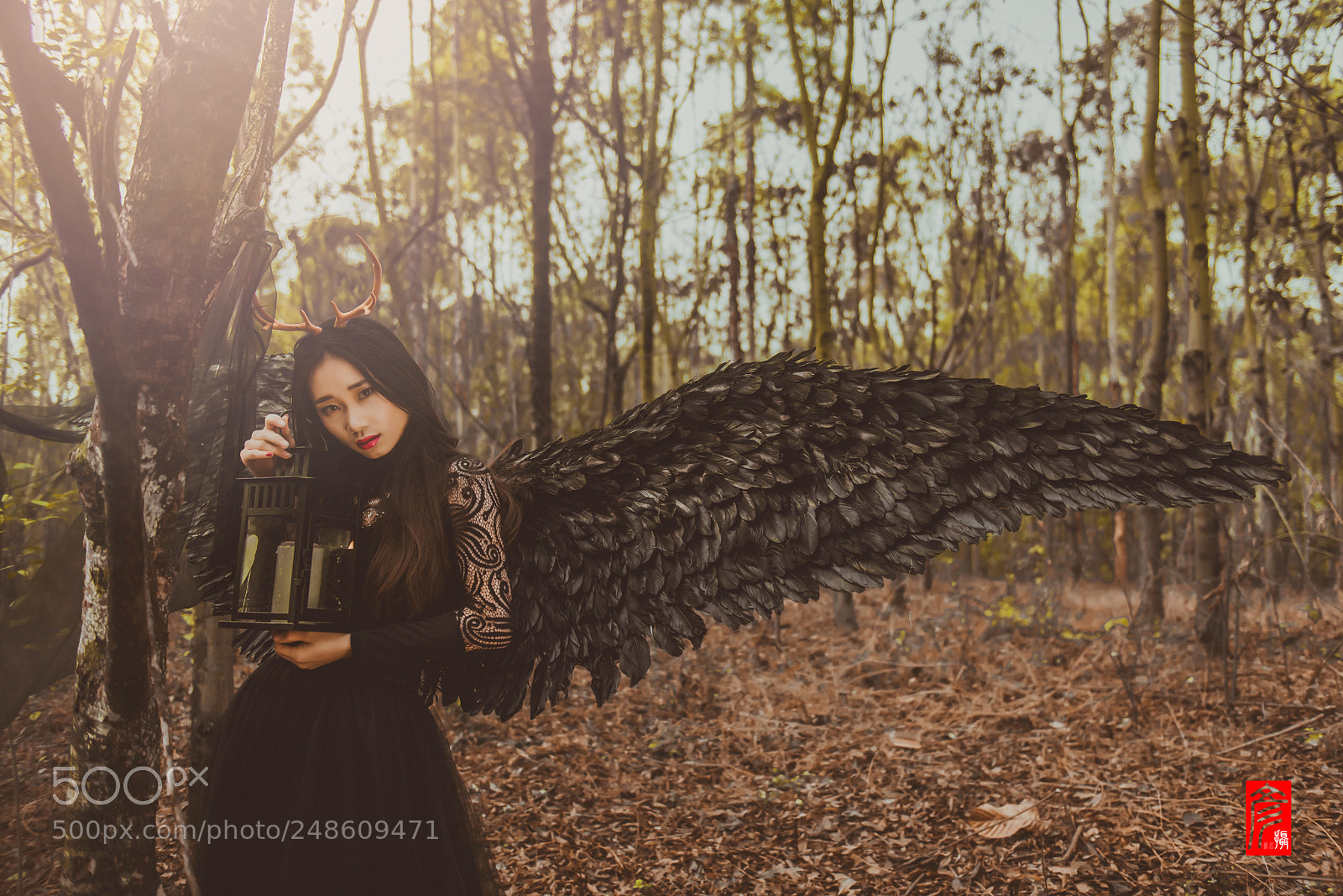 Nikon D800 sample photo. Untitled photography