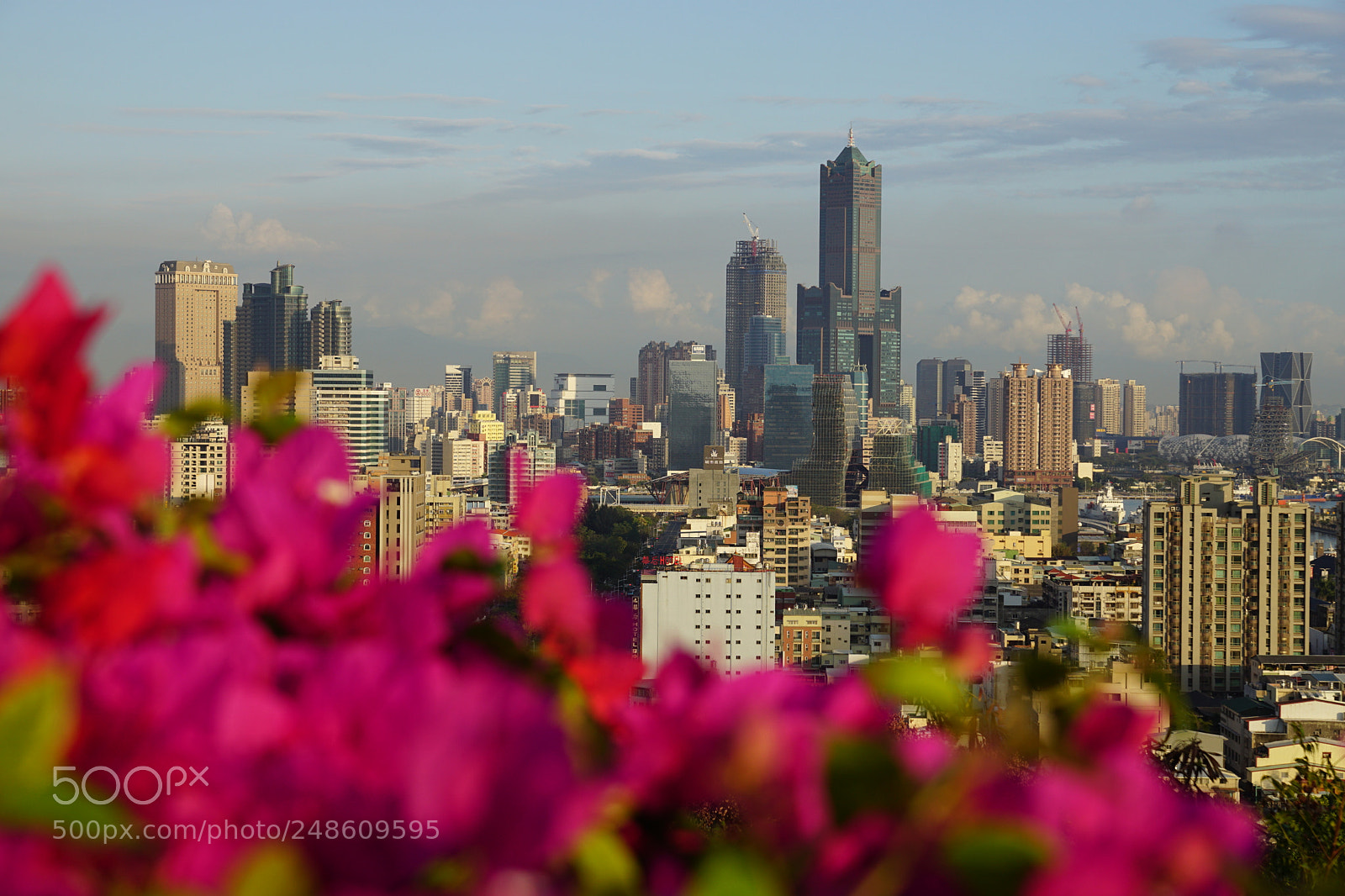 Sony DT 16-50mm F2.8 SSM sample photo. Flower city photography