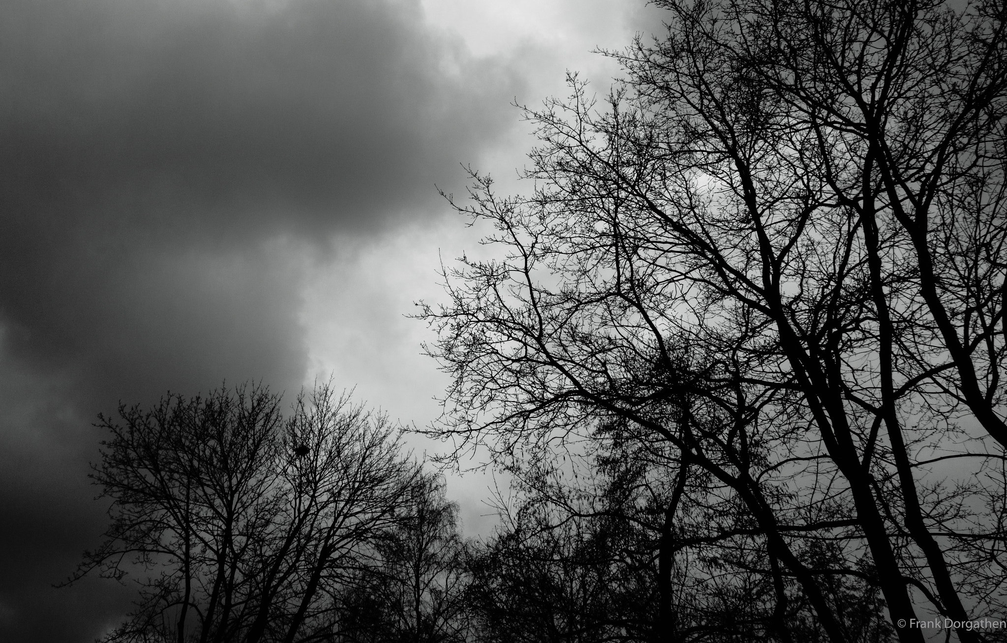 Sony Cyber-shot DSC-RX10 II sample photo. Short before the rain photography
