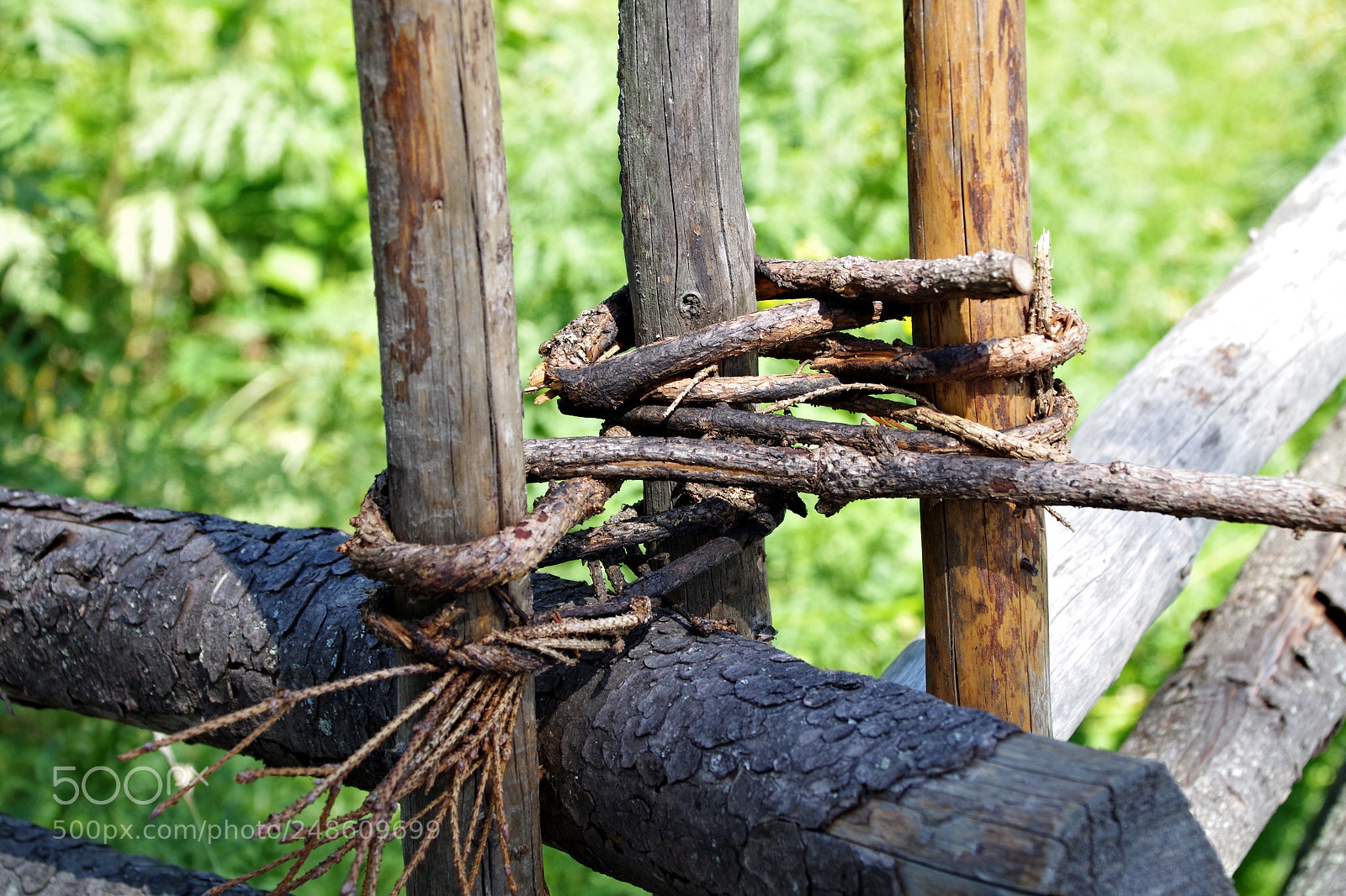 Pentax K-S2 sample photo. Untitled photography