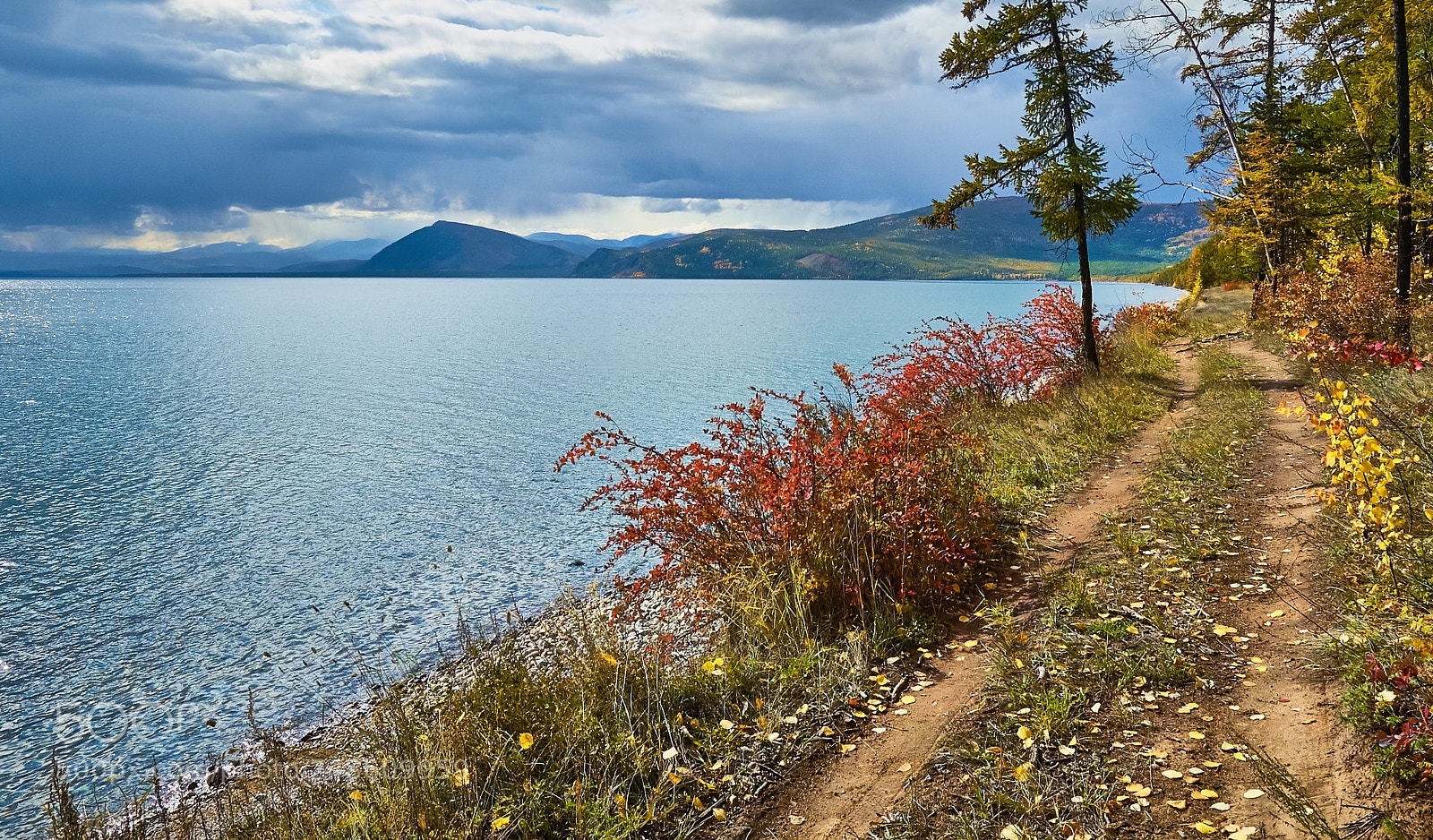 Nikon D70 sample photo. Байкал берег осень photography