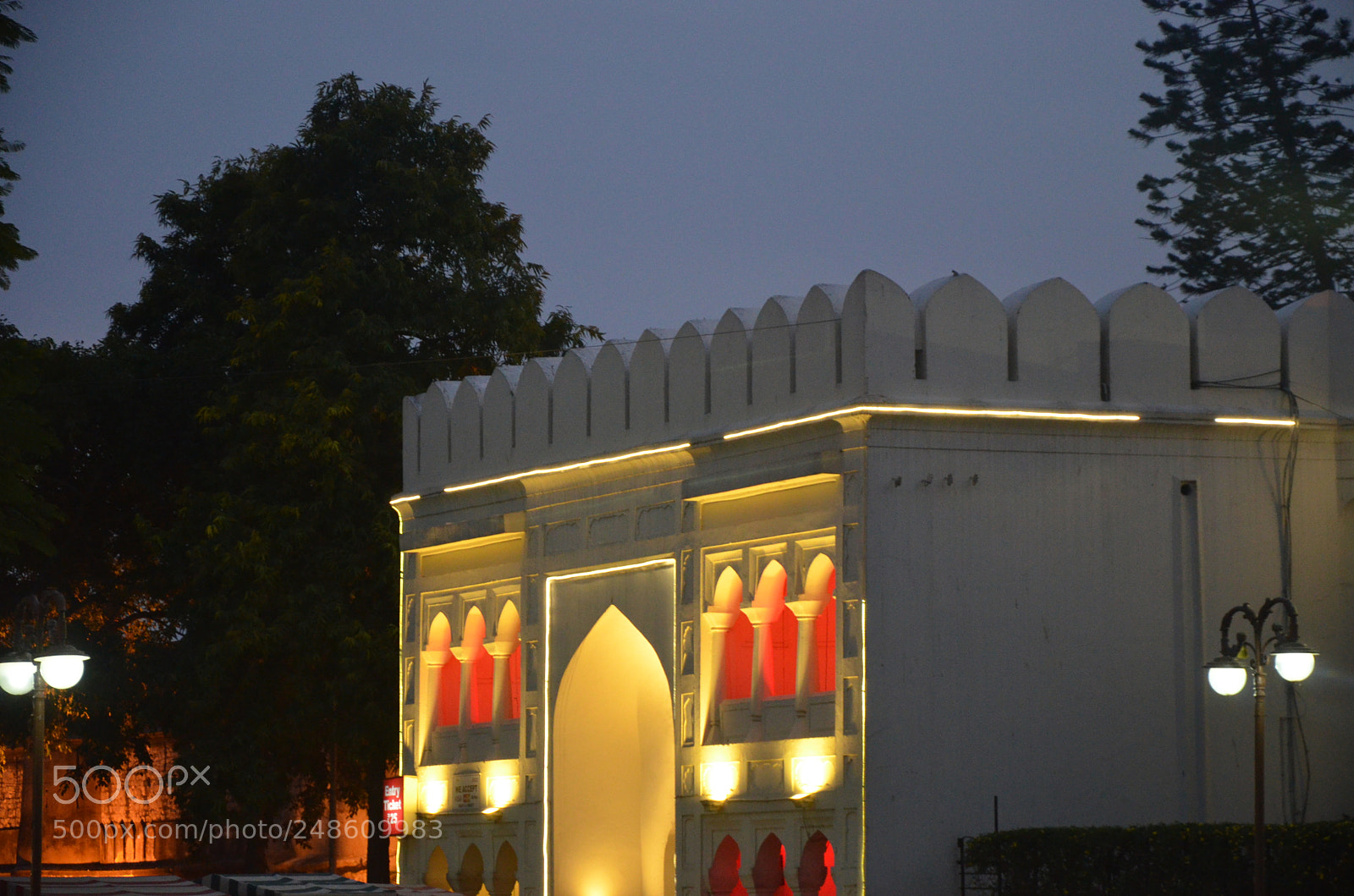 Nikon D5100 sample photo. Untitled photography