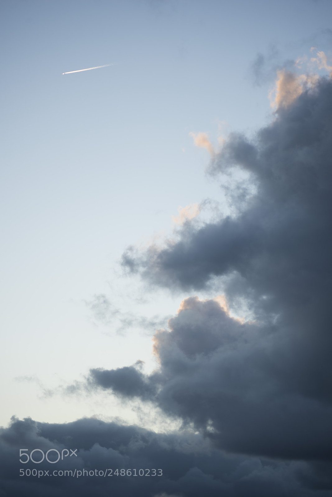 Nikon D810 sample photo. Untitled photography