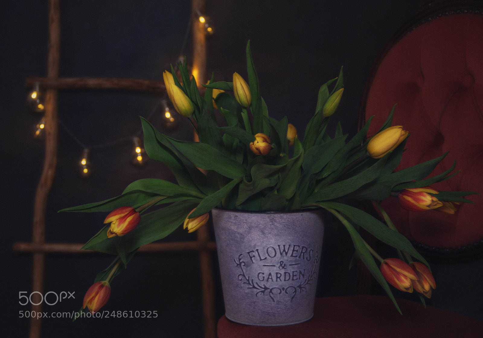 Canon EOS 7D Mark II sample photo. Happy international women's day! photography