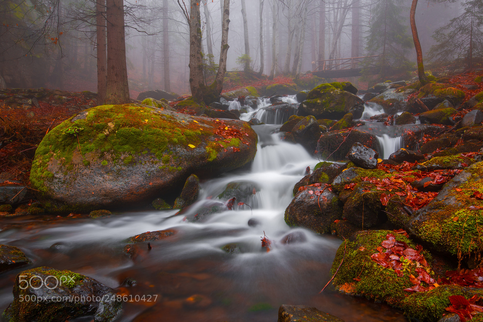 Nikon D810 sample photo. Autumn cascade photography