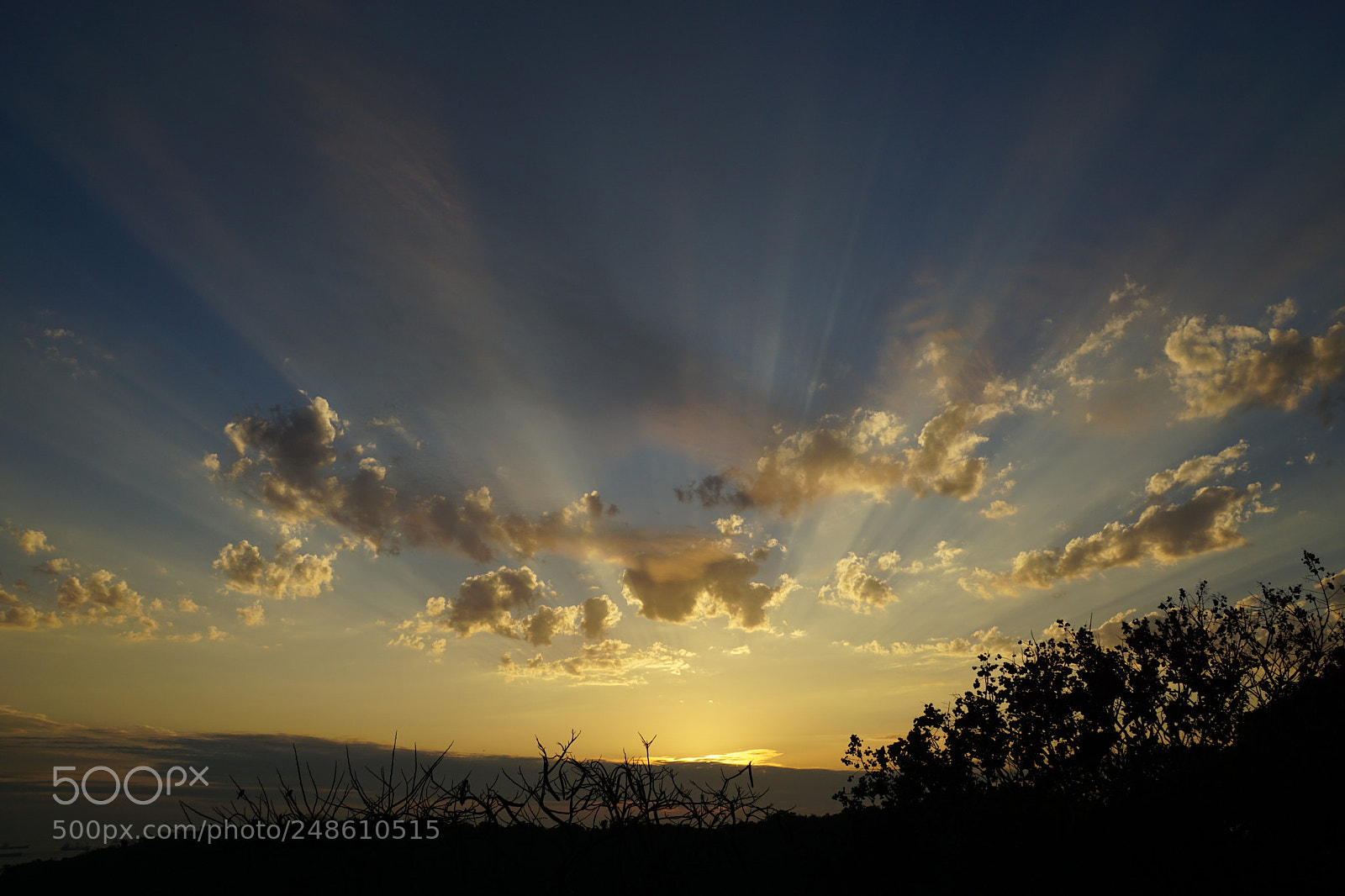 Sony DT 16-50mm F2.8 SSM sample photo. Pointing to the creator photography