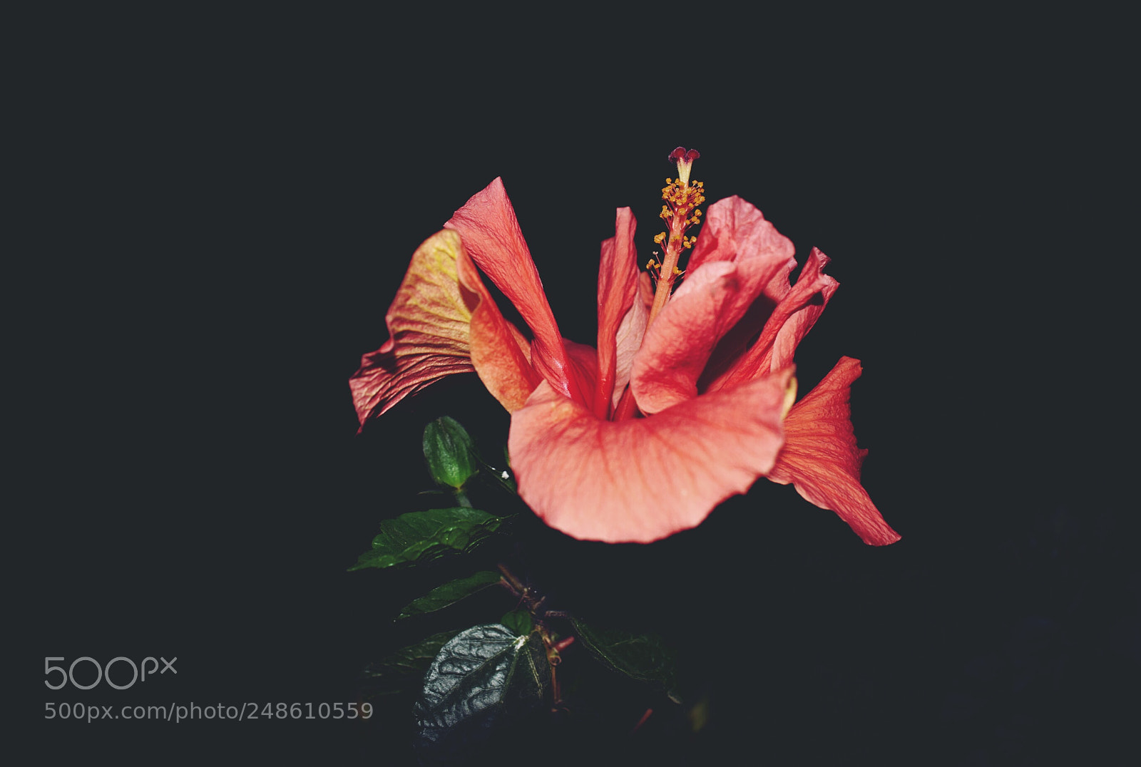 Nikon D3400 sample photo. Night photography photography