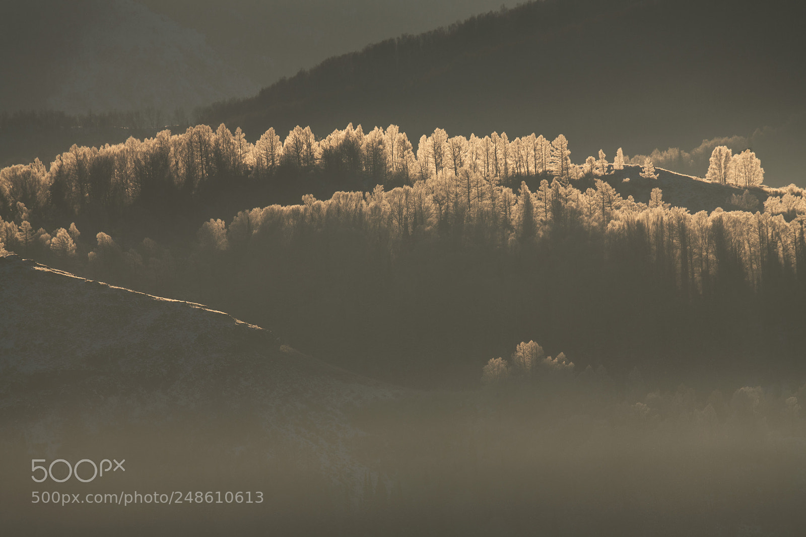 Nikon D850 sample photo. Morning light photography