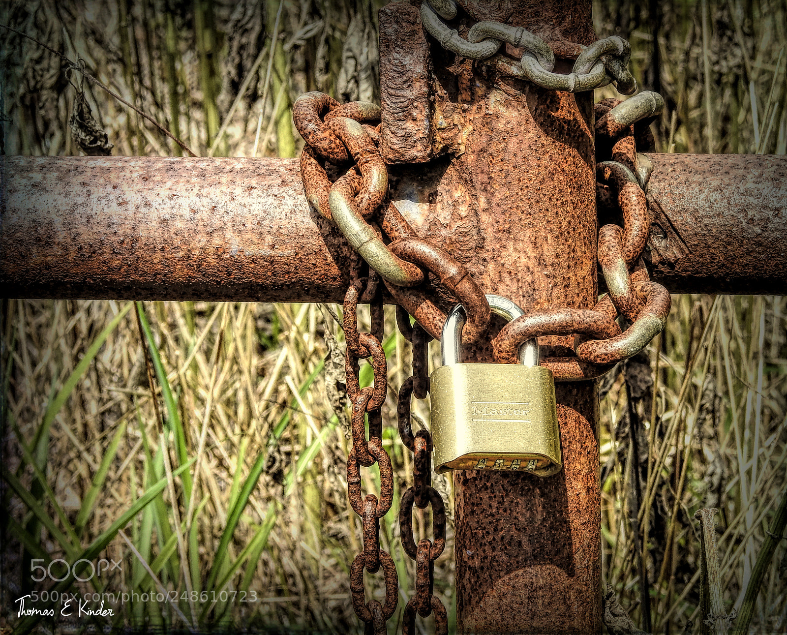 Nikon Coolpix P900 sample photo. Lock of gold photography