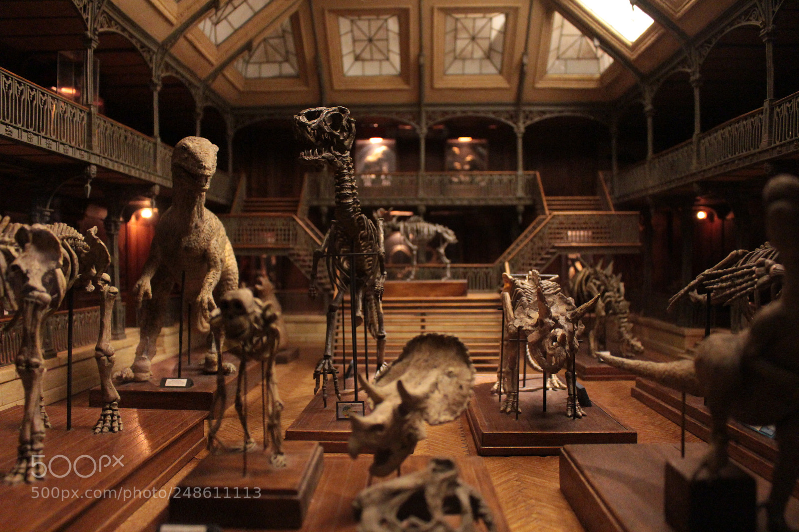 Canon EOS 700D (EOS Rebel T5i / EOS Kiss X7i) sample photo. Petit musée photography