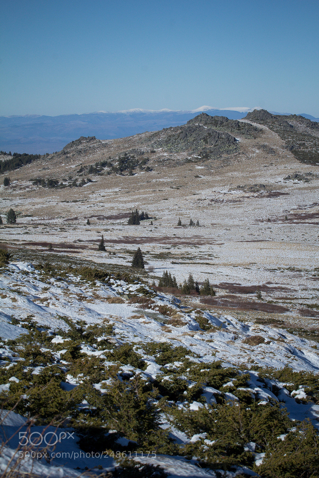 Canon EOS 60D sample photo. Upland photography