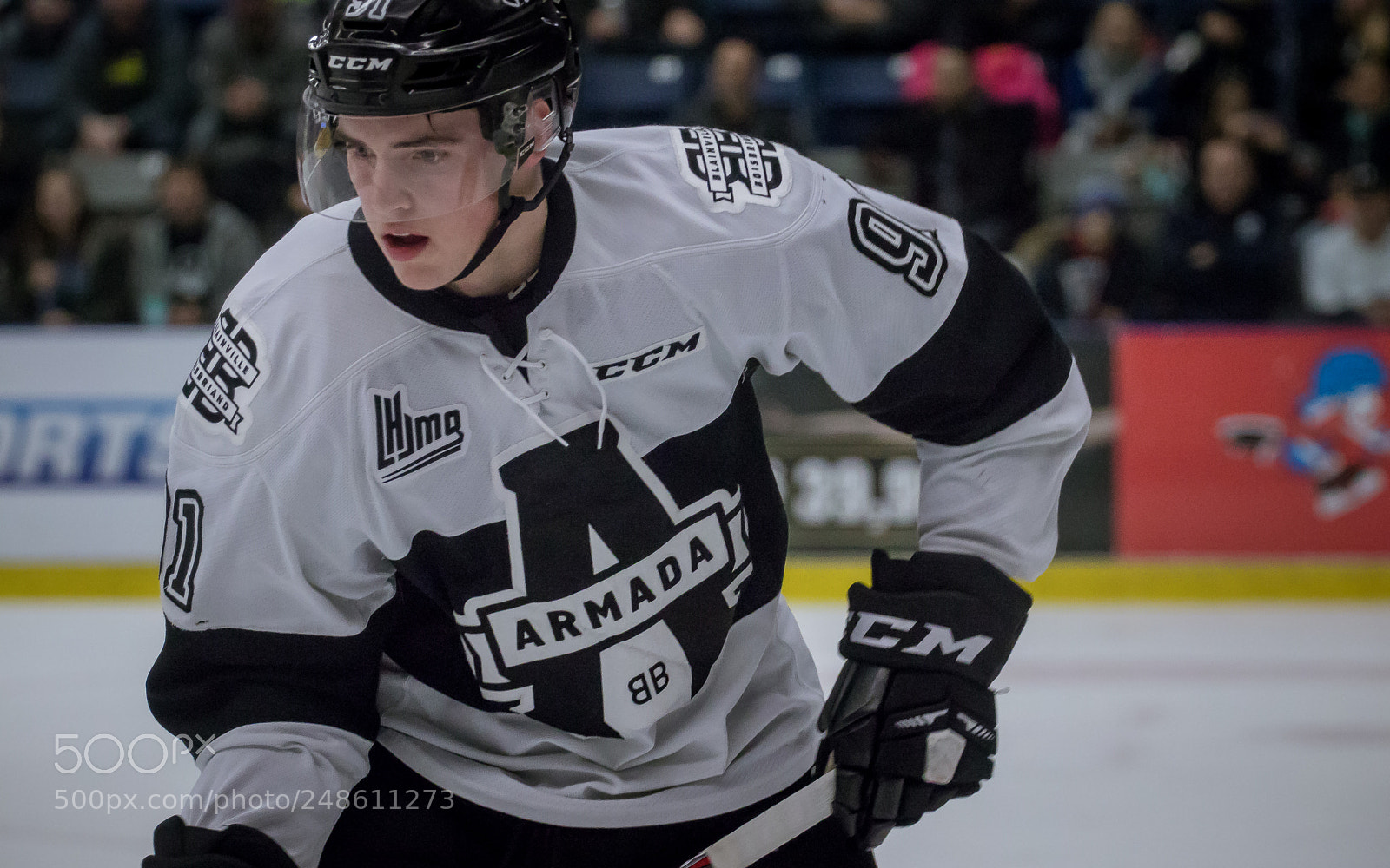 Canon EOS 80D sample photo. Drake batherson #91 (blb) photography