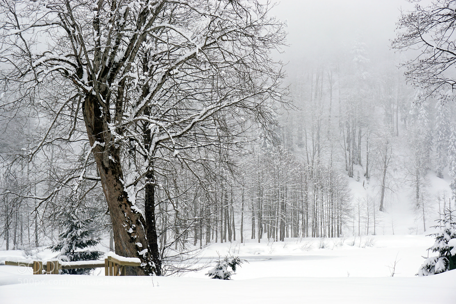 Sony a6000 sample photo. 2882-1.jpg photography