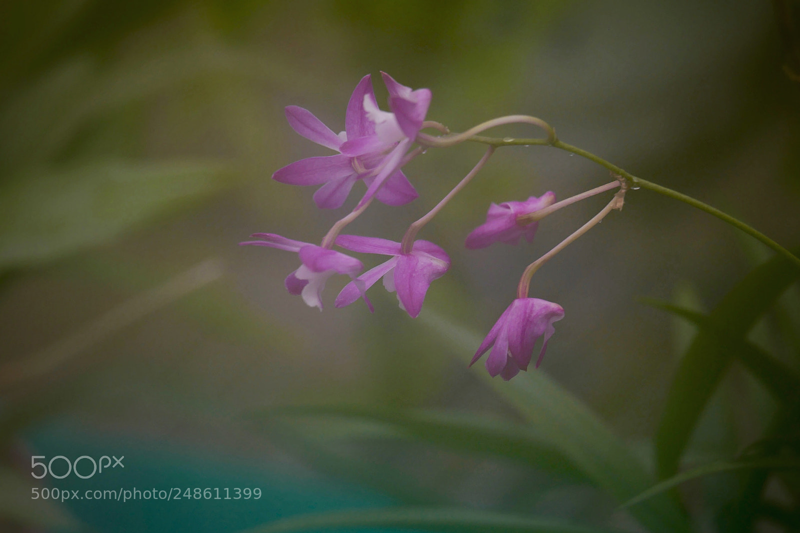 Leica SL (Typ 601) sample photo. Untitled photography