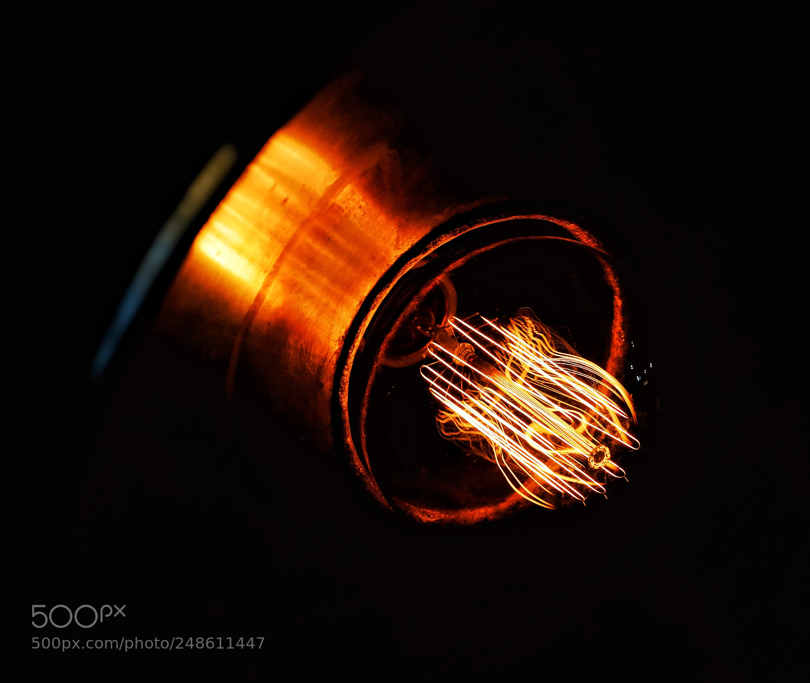 Canon EOS-1D X Mark II sample photo. Light in your life photography