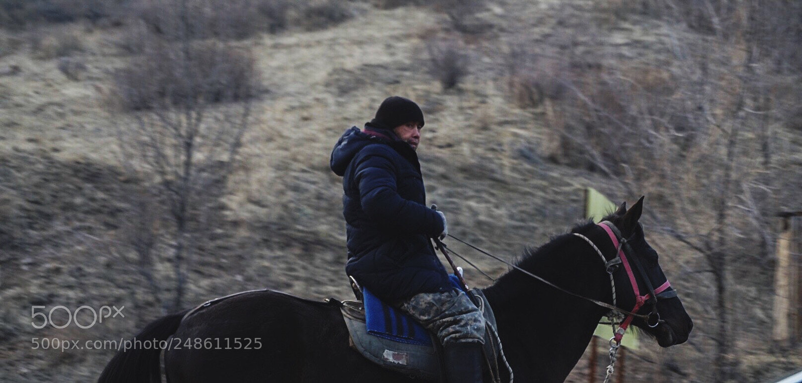Sony Alpha a5000 (ILCE 5000) sample photo. A horseman at the photography