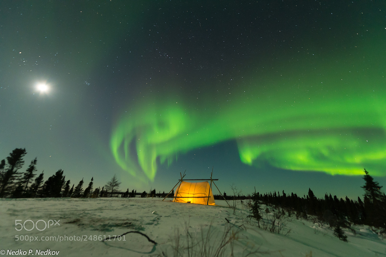 Nikon D4S sample photo. Tundra lights photography