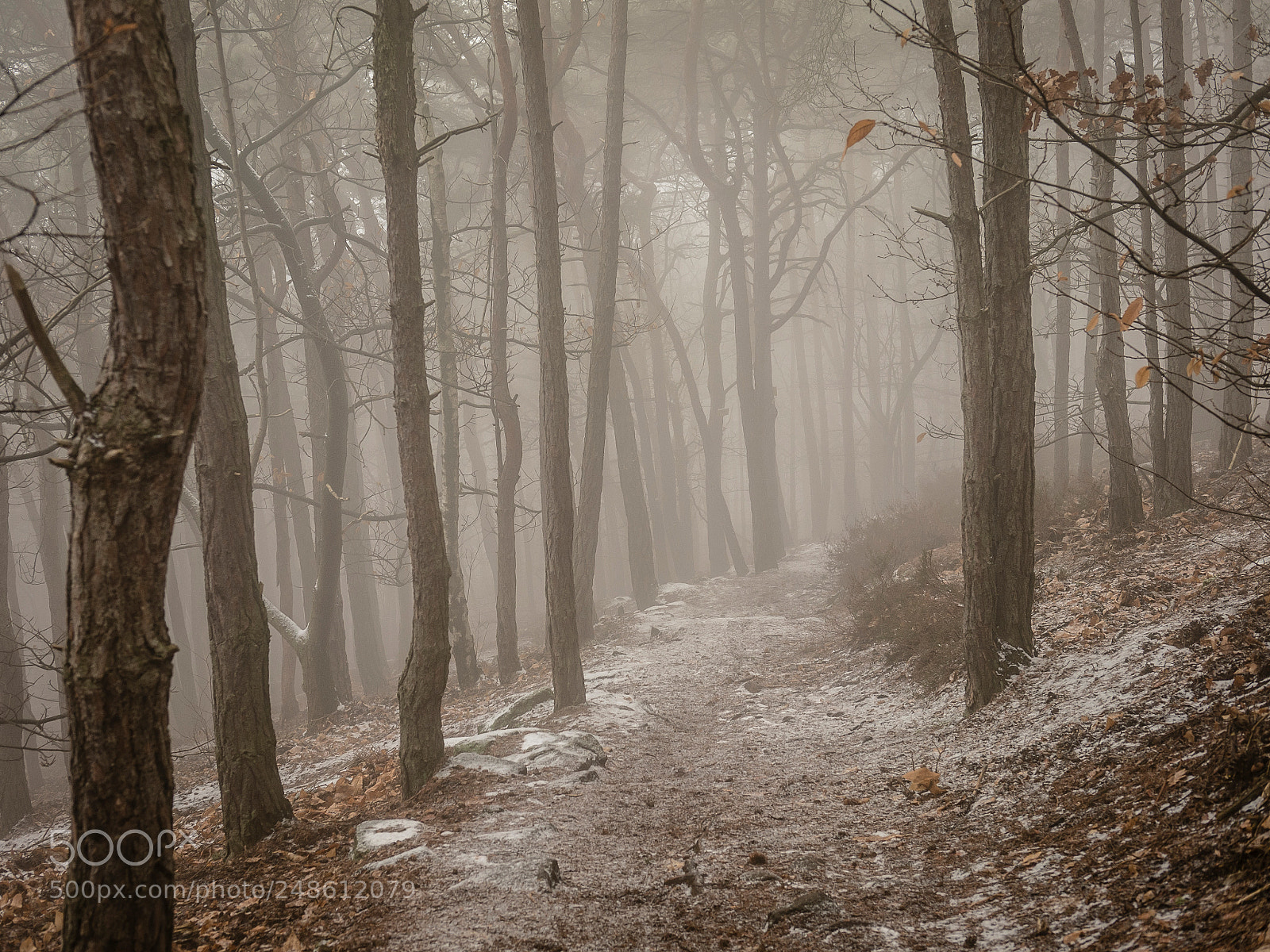 Fujifilm X-A1 sample photo. Weinbiet photography