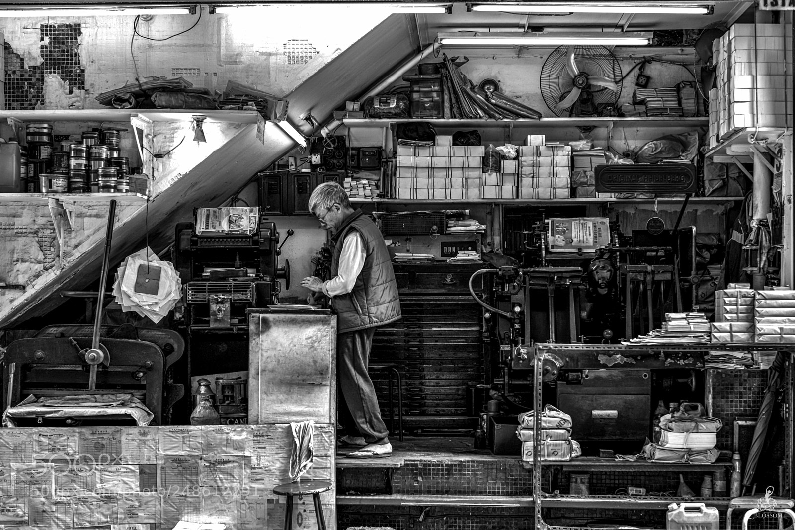 Leica M (Typ 240) sample photo. Standing firm photography