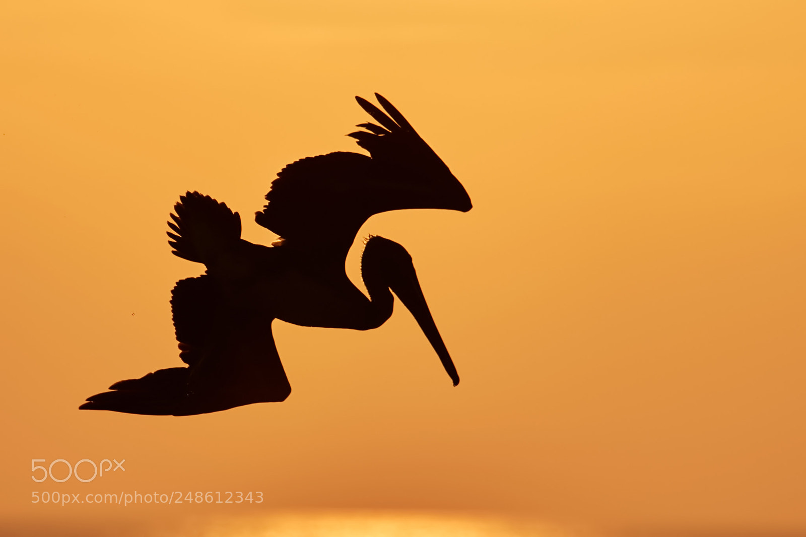 Canon EOS 7D Mark II sample photo. Silhouette photography
