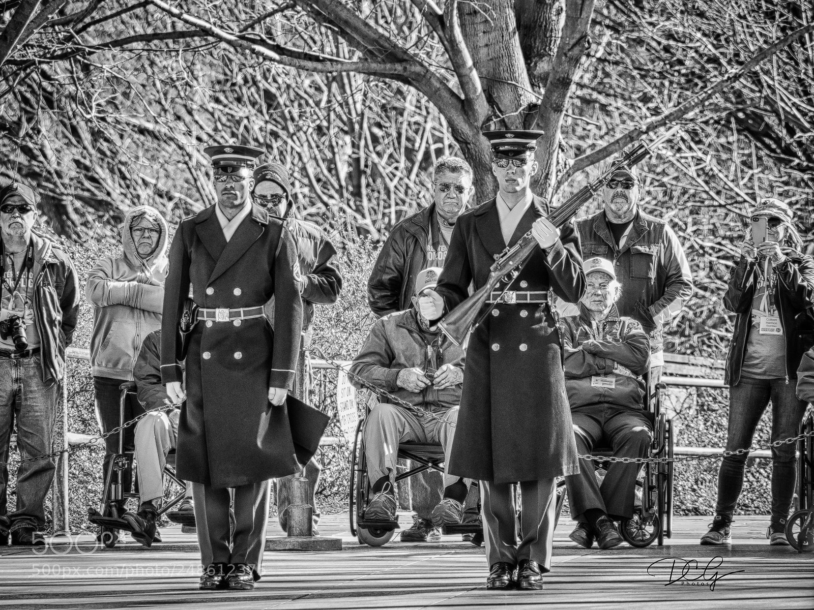 Olympus OM-D E-M10 sample photo. Changing of the guard photography