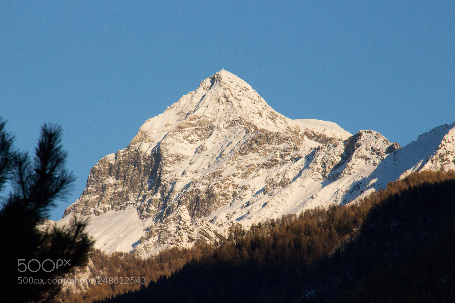 Canon EOS 700D (EOS Rebel T5i / EOS Kiss X7i) sample photo. Valmalenco's king - pizzo photography