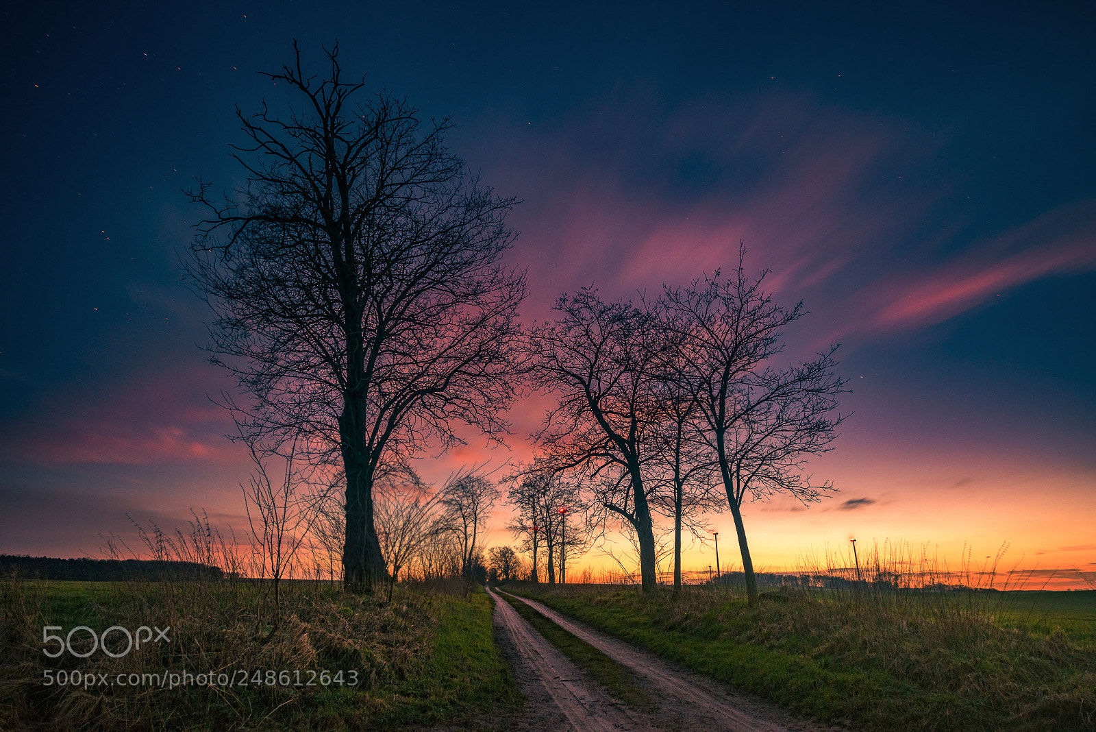 Nikon D810 sample photo. Bevor es nacht wird photography