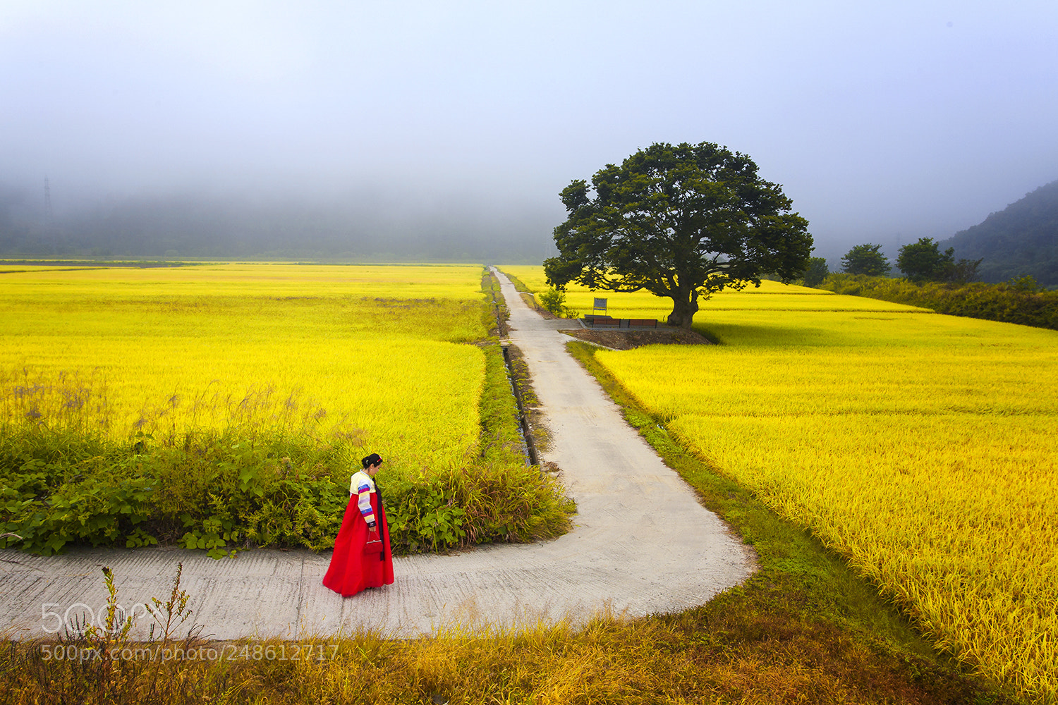 Canon EOS 5D sample photo. 가을 새벽의 원정리 photography