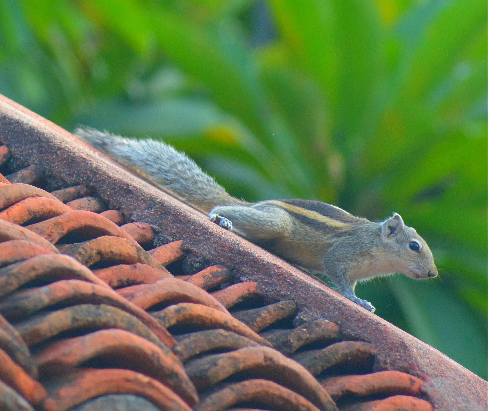 Nikon D5200 sample photo