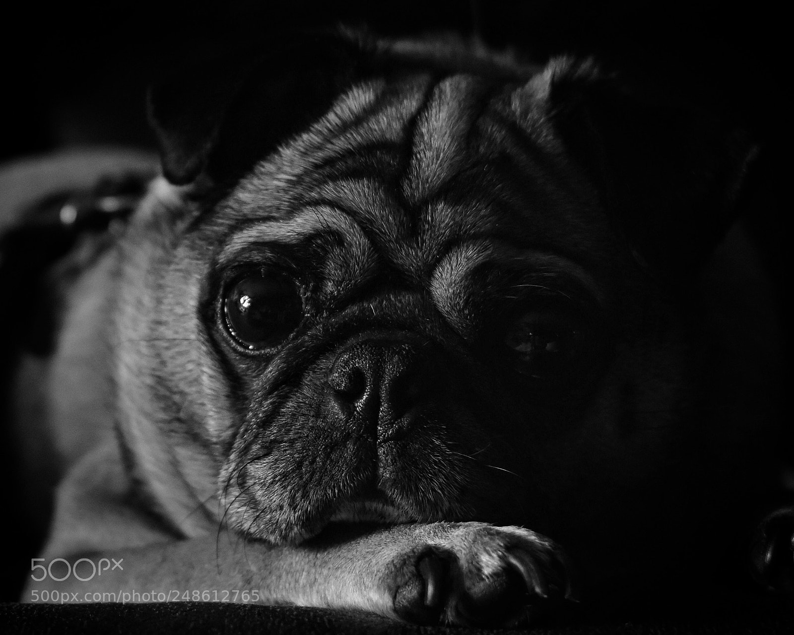 Nikon D5600 sample photo. Relaxed photography