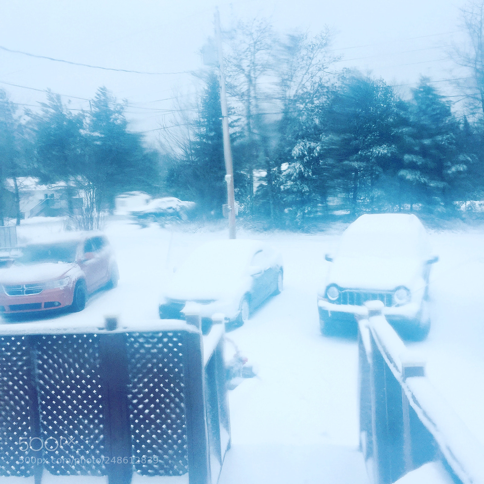 Apple iPhone 6 sample photo. Let it ❄️ photography