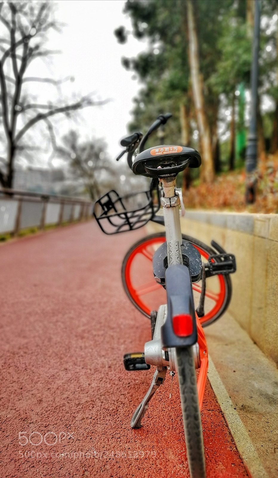 HUAWEI Honor 9 sample photo. 骑行 photography