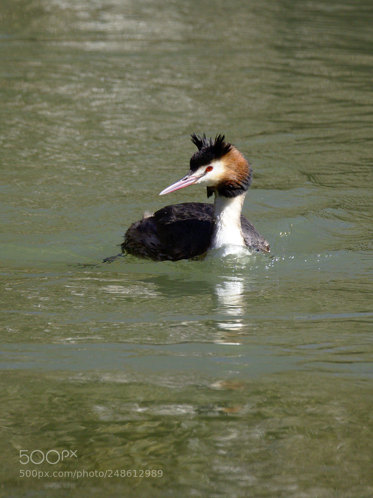 Olympus OM-D E-M10 sample photo. Rowing in the canal photography