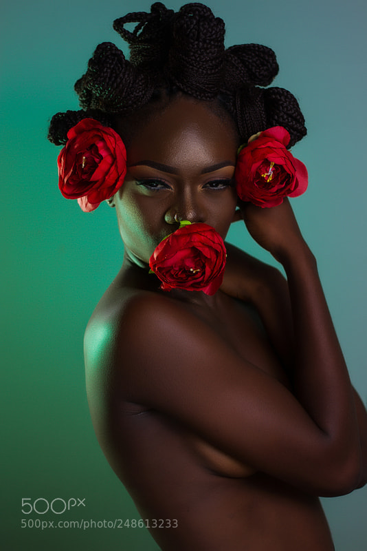 Canon EOS 7D sample photo. Black rose photography