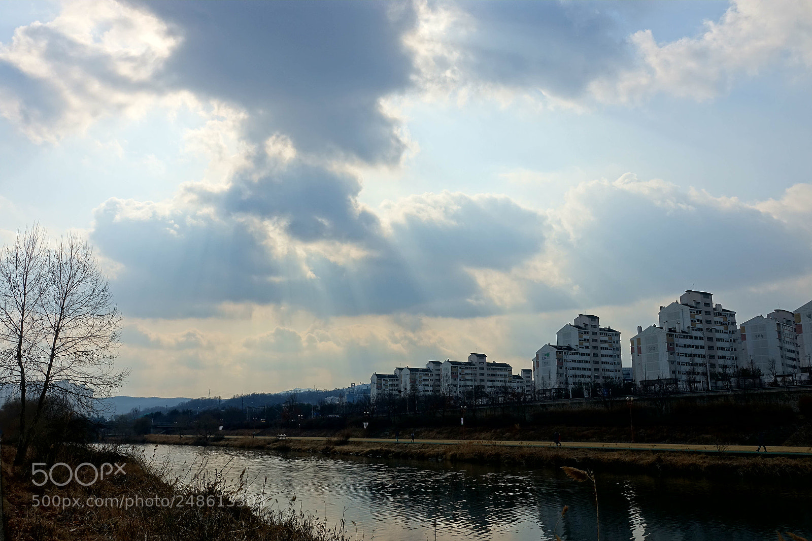 Sony Cyber-shot DSC-RX10 III sample photo. Untitled photography