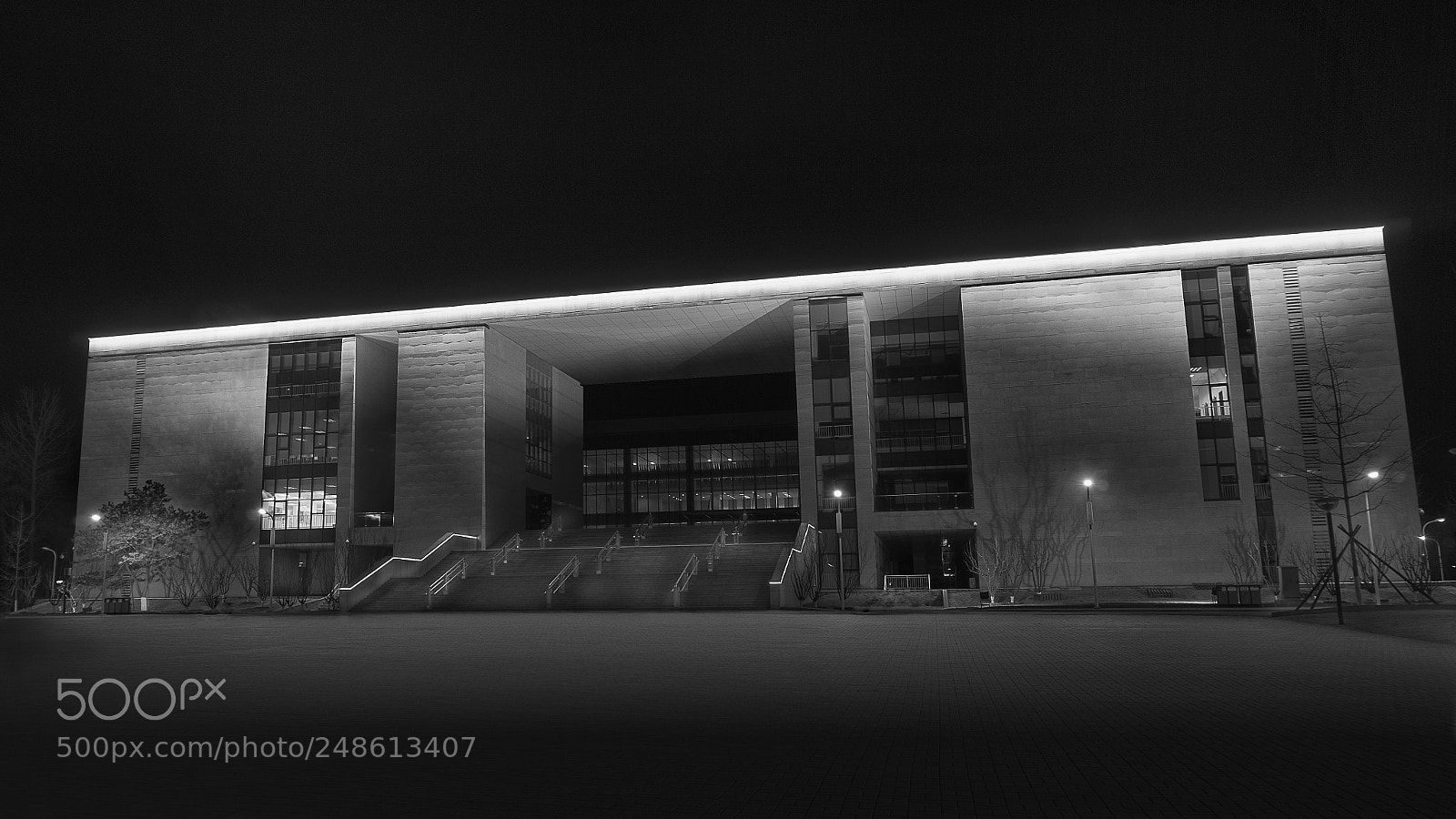 Sony a6000 sample photo. Library under the light photography