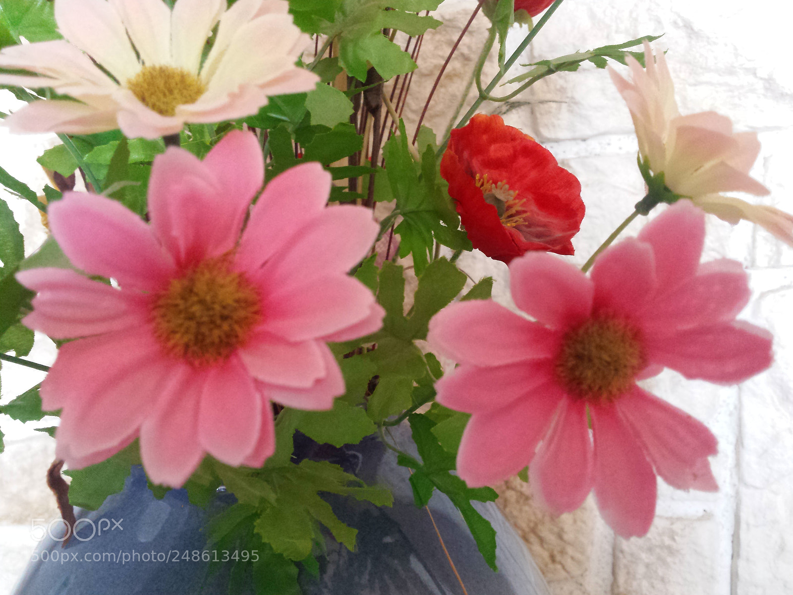 Samsung Galaxy S4 sample photo. Untitled photography