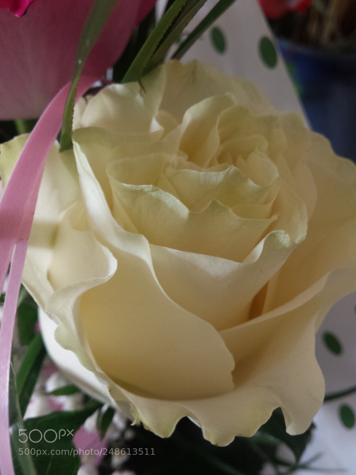 Samsung Galaxy S4 sample photo. Untitled photography